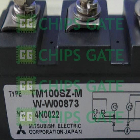 TM100SZM