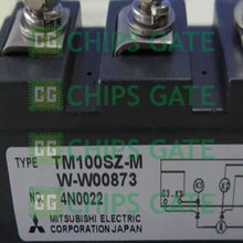 TM100SZM
