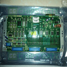 A16B22020732