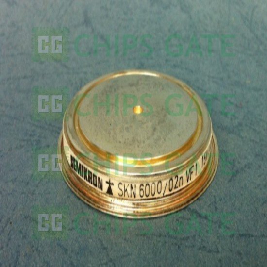 SKN600002