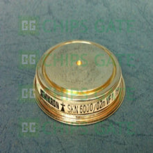 SKN600002