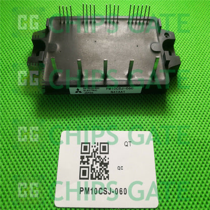 PM10CSJ060