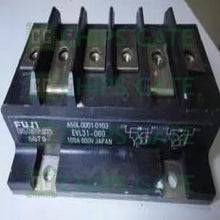 EVL31060