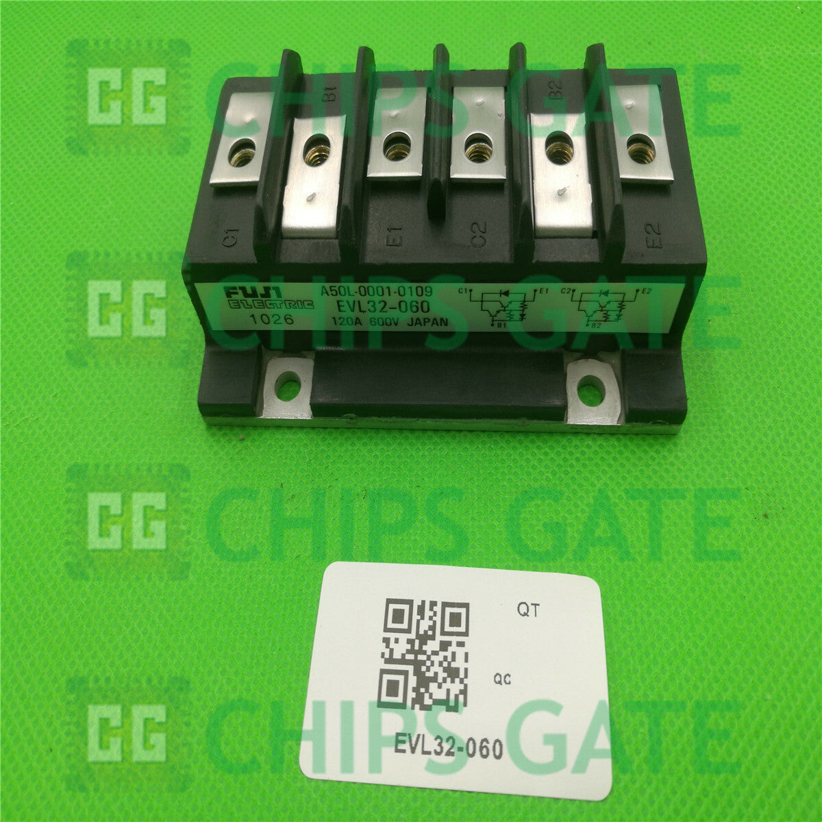EVL32060