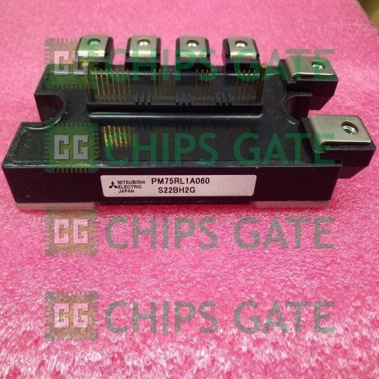 PM75RL1A060