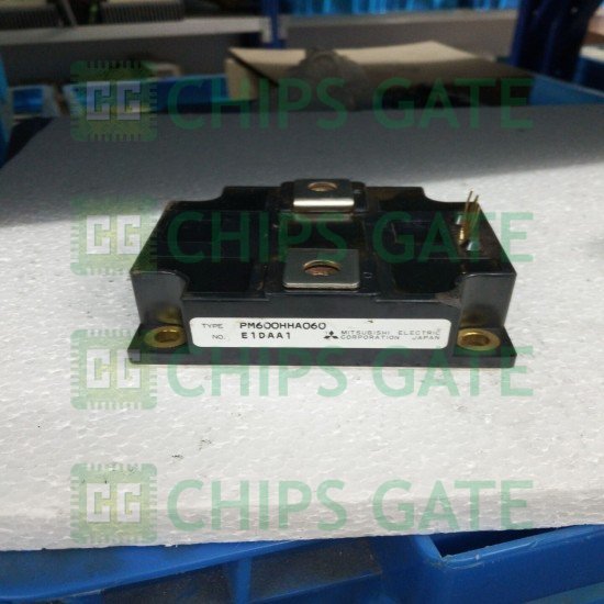PM600HHA060