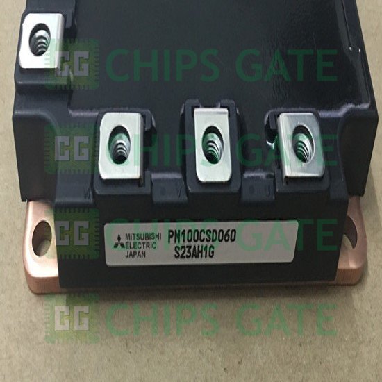 PM100CSD060
