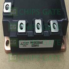 PM100CSD060