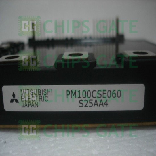 PM100CSE060