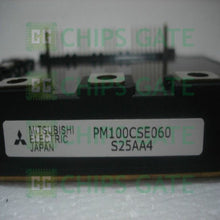 PM100CSE060