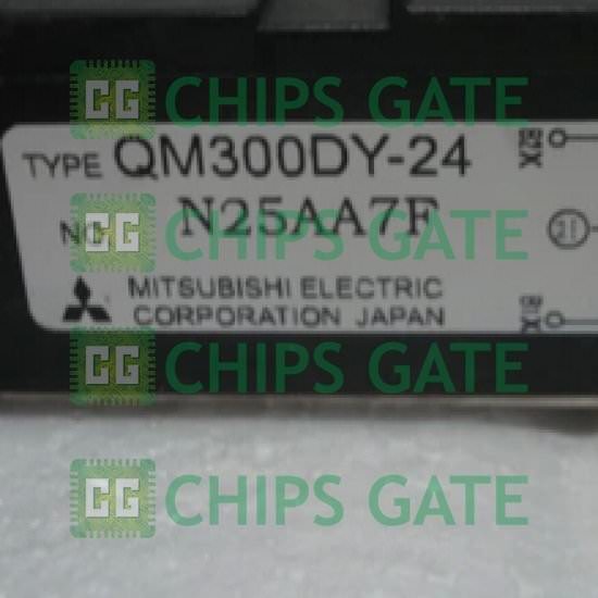 QM300DY24