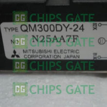 QM300DY24