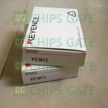 PZM13