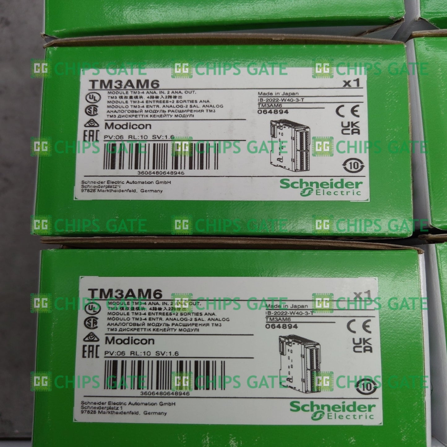 TM3AM6