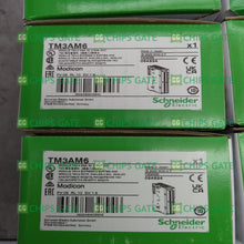 TM3AM6