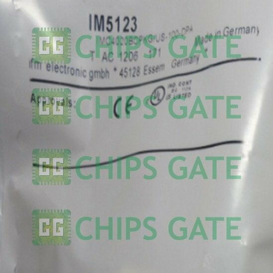 Ifm IM5123