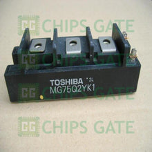 Toshiba MG75Q2YK1