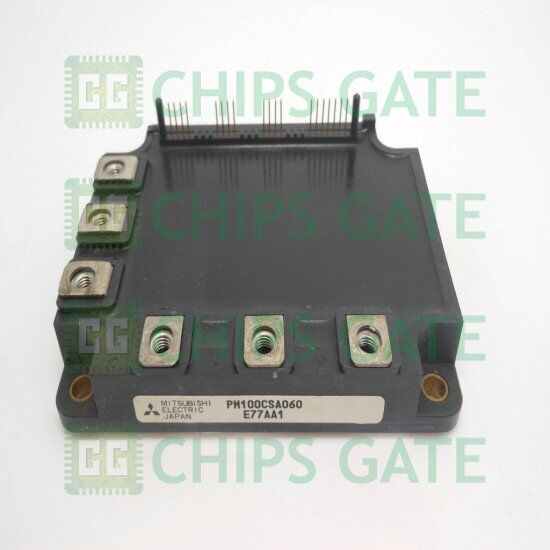 PM100CSA060