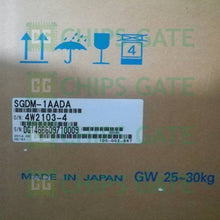 SGDM1AADA