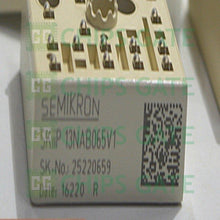 SKIIP13NAB066V1