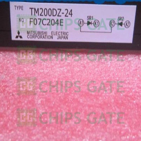 TM200DZ24