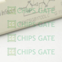 Eupec BSM75GB170DLC