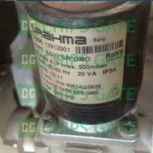 Brahma EG12*SR*GMO