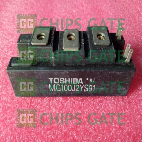 Toshiba MG100J2YS91