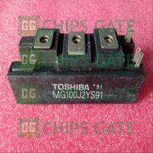 Toshiba MG100J2YS91