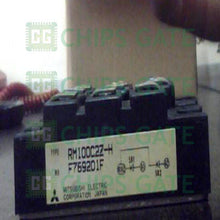 RM100C2ZH