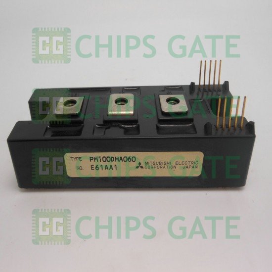 PM100DHA060