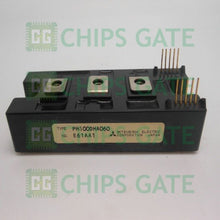 PM100DHA060