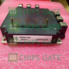 PM300RL1A060