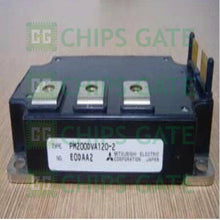 PM200DVA1202