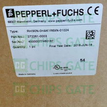 Pepperl+Fuchs RHI90N-0HAK1R6XN-01024