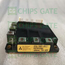 PM75RFE060
