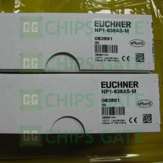 Euchner NP1-638AS-M