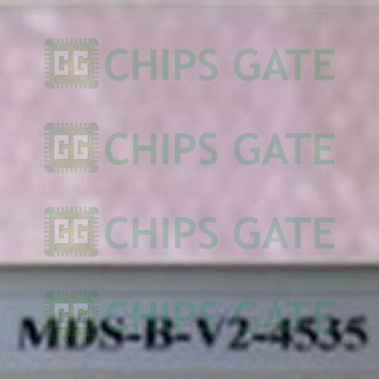 MDSBV24535