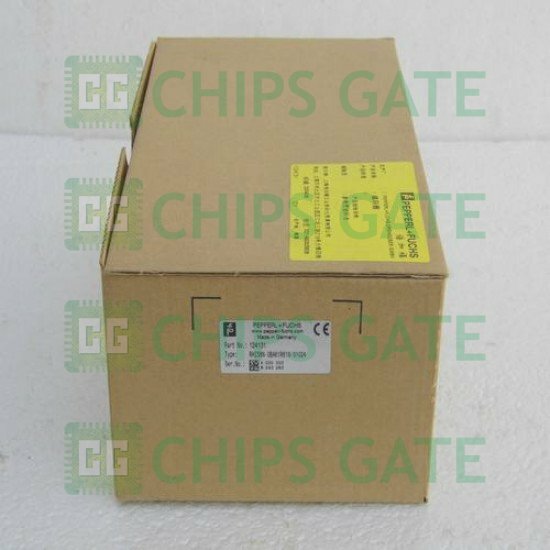 Pepperl+Fuchs RHI58N-0BAK1R61N-01024