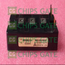 PM100DHA1201