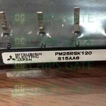 PM25RSK120