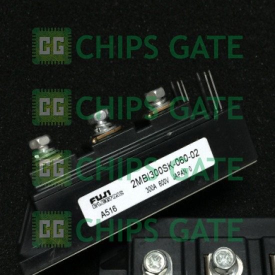 2MBI300SK06002