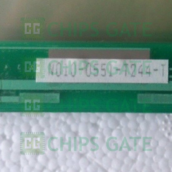 N0100551T244T