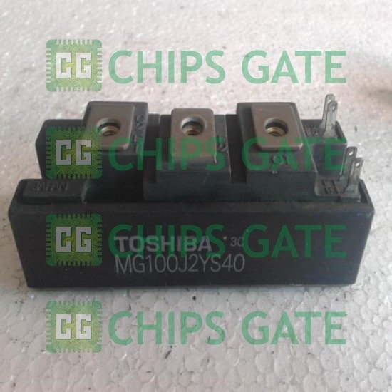 Toshiba MG100J2YS40