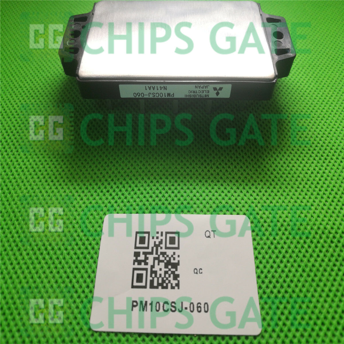 PM10CSJ060
