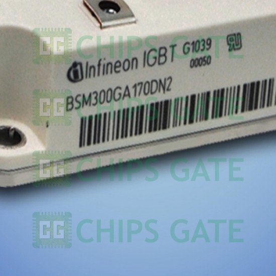 BSM300GA170DN2S