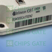 BSM300GA170DN2S