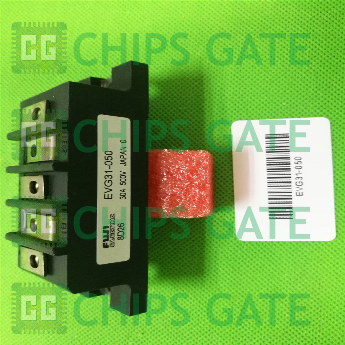 EVG31050