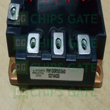 PM100RSE060