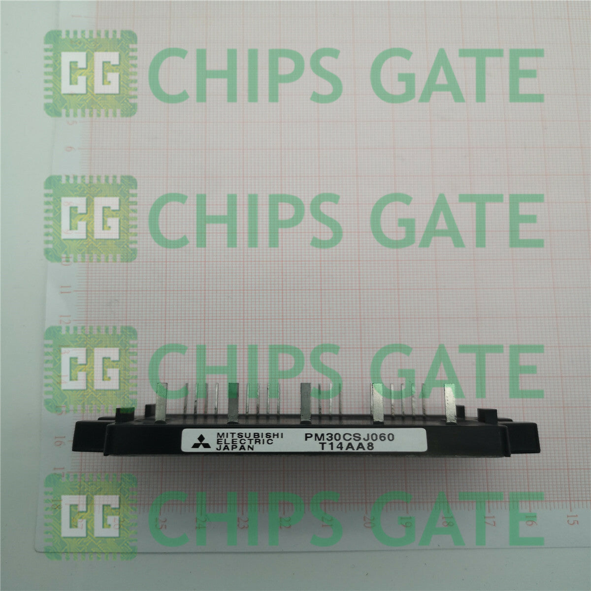 PM30CSJ060